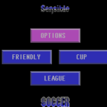 sensible soccer 005